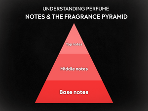 Understanding Perfume Notes & the Fragrance Pyramid
