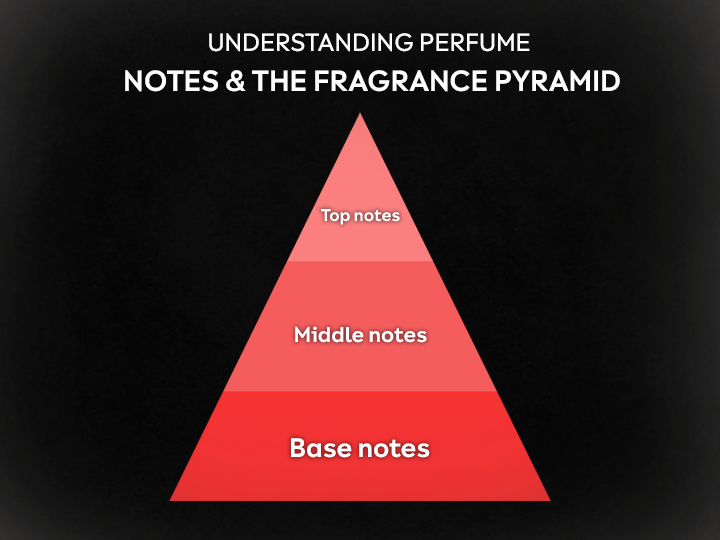 Understanding Perfume Notes & the Fragrance Pyramid - White Wolf India