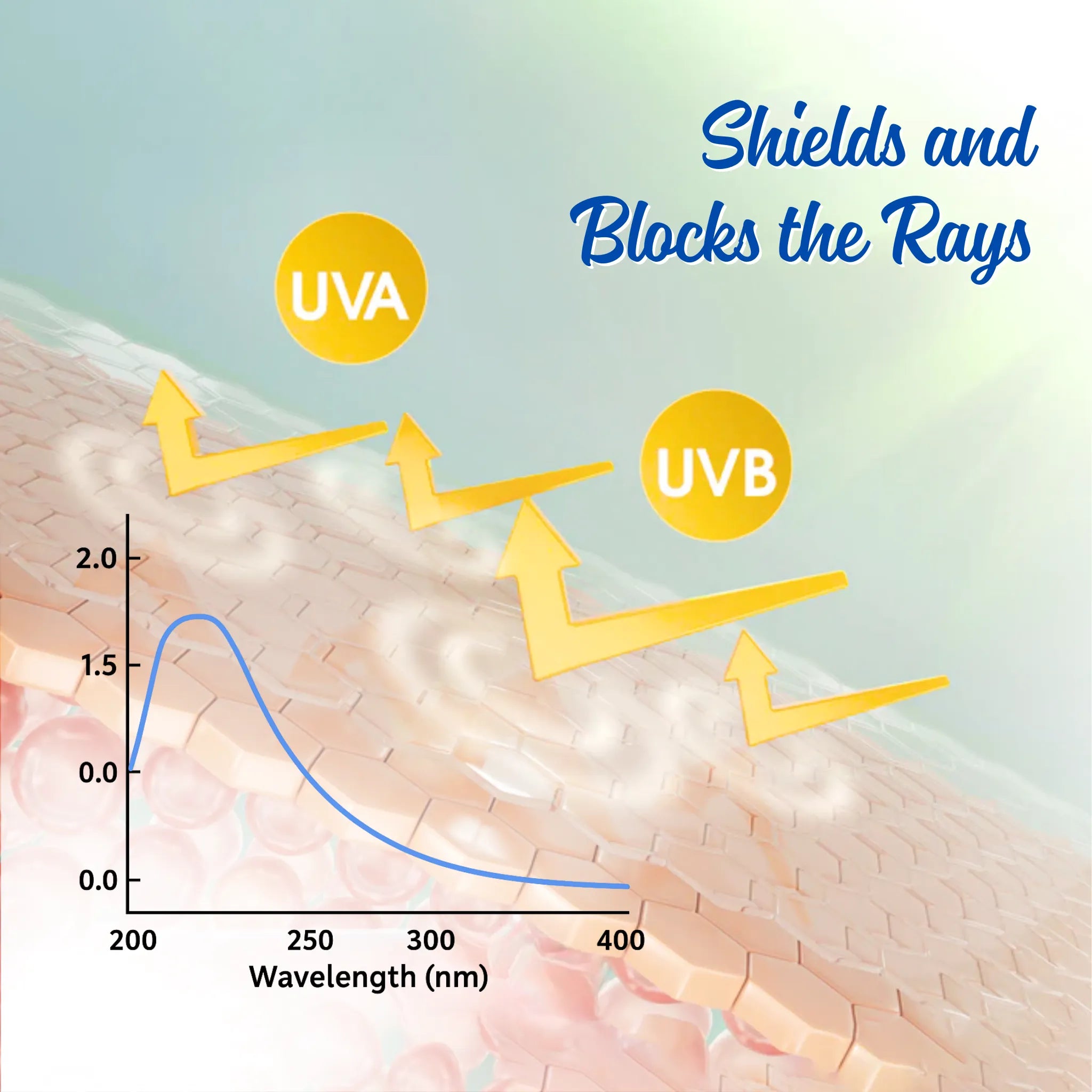 Sunscreen for oily skin SPF 50 PA+++ with niacinamide vitamin C vitamin E